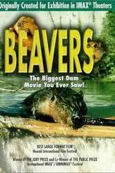 Beavers постер