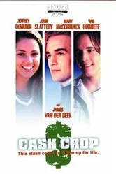 Отчаянный сезон 1998 постер