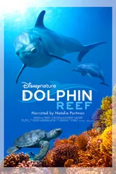 Дельфиний риф 2018 постер