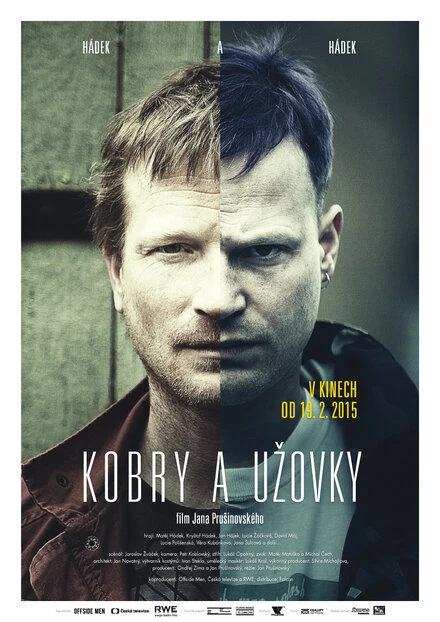 Постер Кобры и ужи 2015