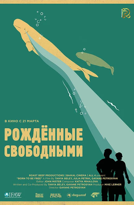 Постер Рожденные свободными 2016