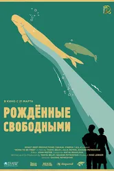 Рожденные свободными 2016 постер