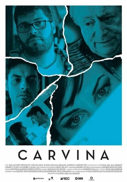 Постер Carvina