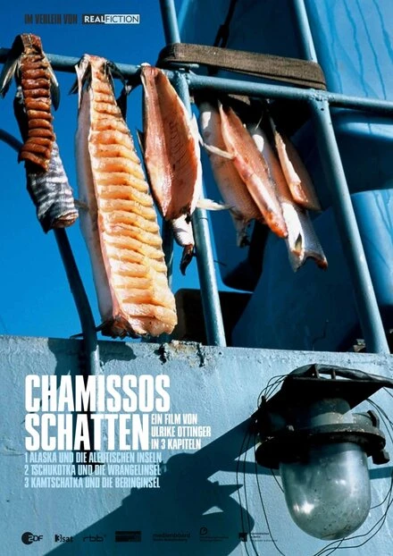 Постер Chamissos Schatten