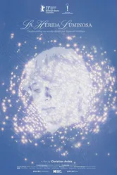 La herida luminosa постер