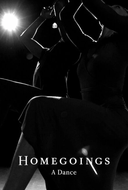 Постер Homegoings: A Dance