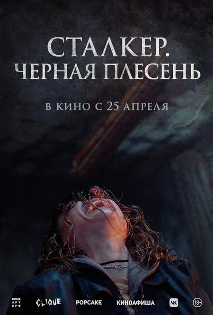 Постер Сталкер. Черная плесень 2023