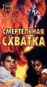 Постер Смертельная схватка 1993