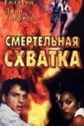 Смертельная схватка 1993 постер