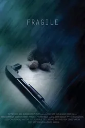 Fragile 2011, США постер