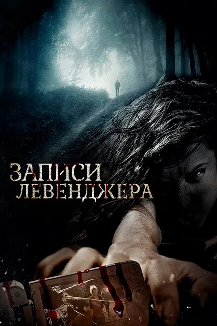Постер Записи Левенджера 2013