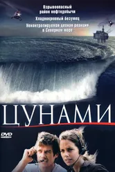 Цунами 2005 постер