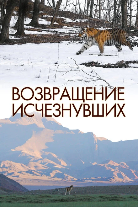 Постер Возвращение исчезнувших 2023