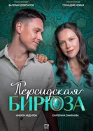 Персидская бирюза постер