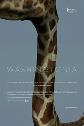 Washingtonia 2014 постер