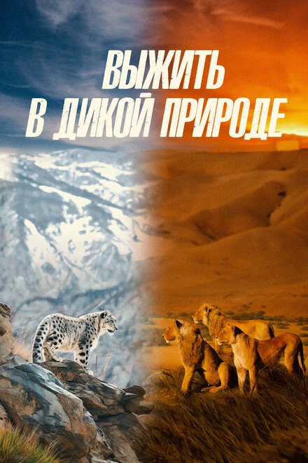 Постер Выжить в дикой природе 2016