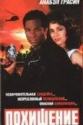 Похищение 1993 постер