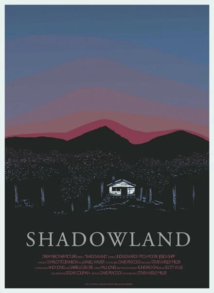 Постер Shadowland 2014