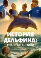 История Дельфина: Спасение Бимини постер