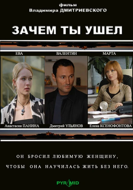 Постер Зачем ты ушел? 2008