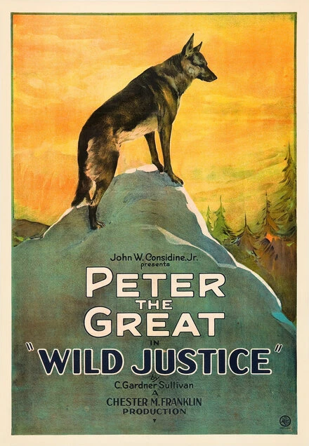 Постер Wild Justice