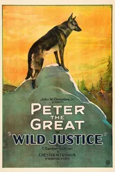 Wild Justice постер