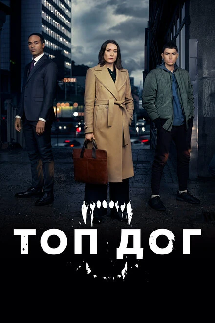 Постер Топ дог 2020