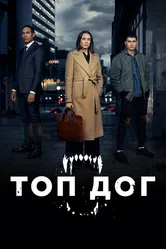 Топ дог 2020 постер