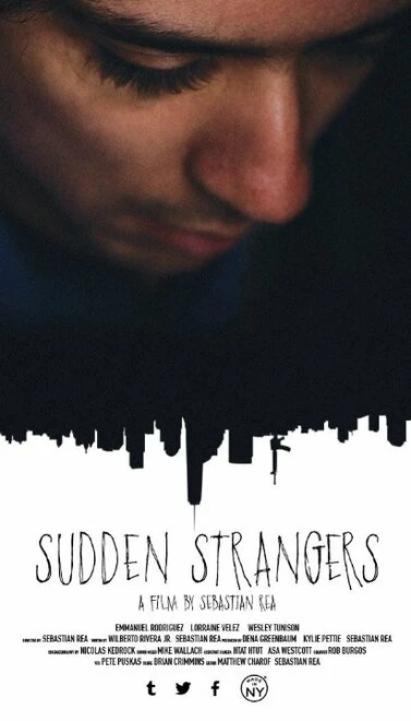 Постер Sudden Strangers
