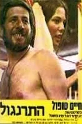 Петушок 1971 постер
