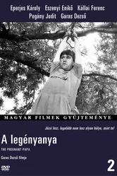 A legényanya постер