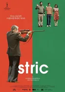 Stric постер