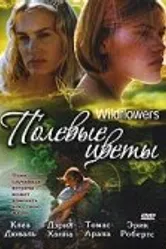 Полевые цветы 1999 постер