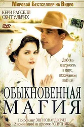Обыкновенная магия 2005 постер