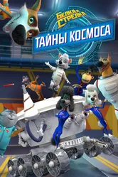 Белка и Стрелка: Тайны космоса 2018 постер