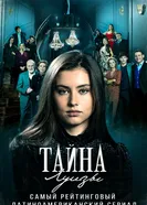 Тайна Луизы 2021 постер