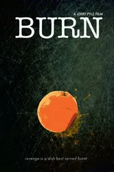 Burn 2011 постер