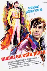 Новенький в этих местах 1966 постер
