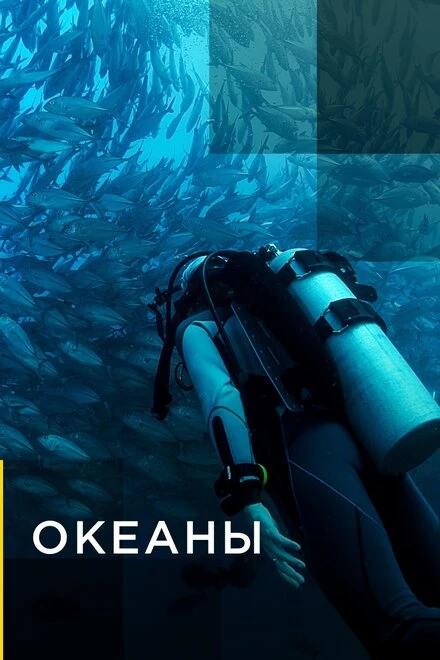 Постер Океаны 2016