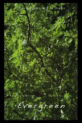 Evergreen 2012 постер