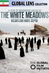 Белые луга 2009 постер