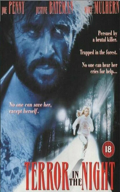 Постер Террор в ночи 1994