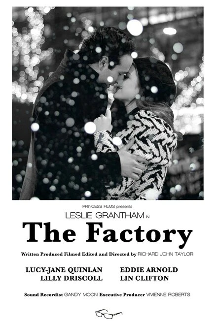 Постер The Factory 2013