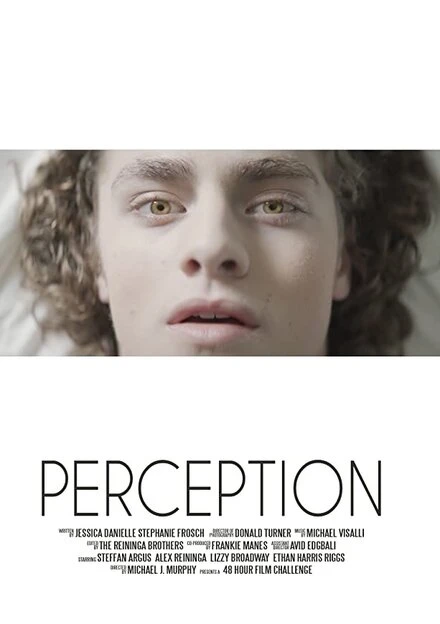 Постер Perception 2017, США, короткометражка