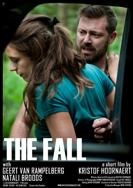 Постер The Fall 2013