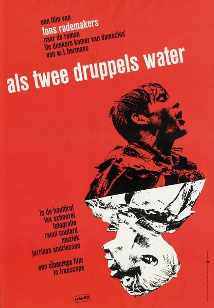 Постер Как две капли воды 1963