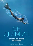 Он дельфин постер