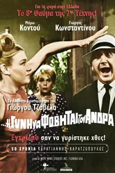 I de gyni na fovitai ton andra постер