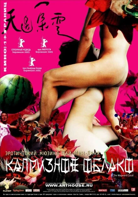Постер Капризное облако 2005