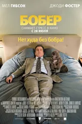 Бобер 2010 постер